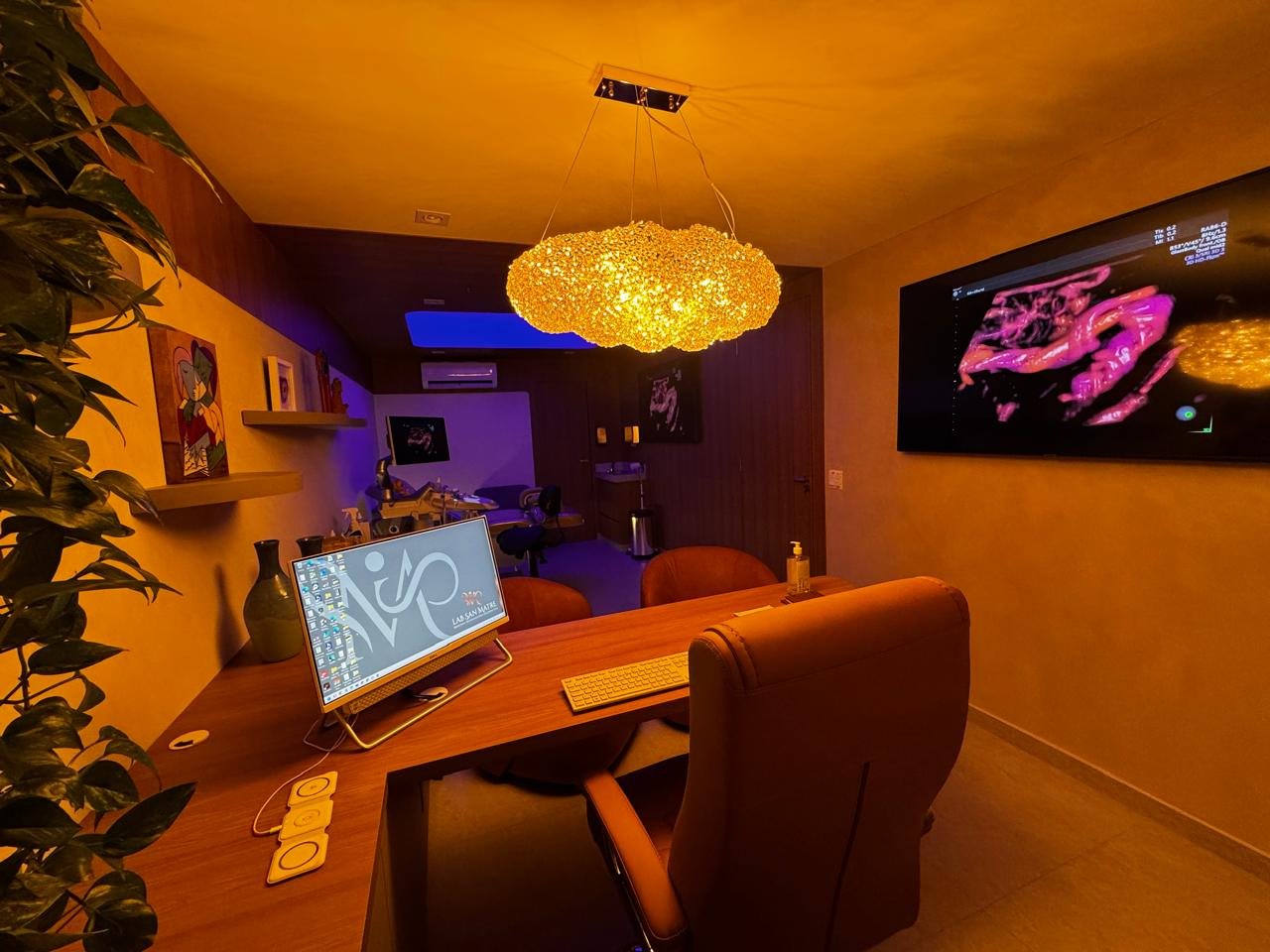 Sala de exame equipada com ultrassom de alta resolução e ambiente acolhedor